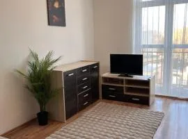 Home & Pool Apartment