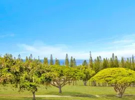 Kapalua Golf Villas 6 FREE Rental Cars KBM Resorts Large Bedrooms 6 Units 8 Bedrooms ML-2363