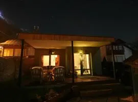 Alpine Yard Nest Busteni