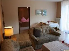 Haus-Schneider-grosse-Ferienwohnung