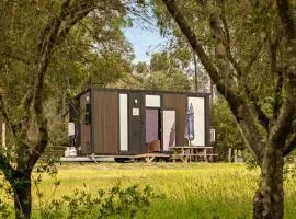 Olive Sanctuary by Tiny Away