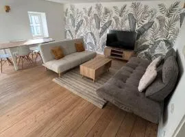 Spacieux appartement cozy