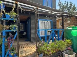 Cabaña punta de Lobos