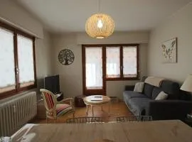 Appartement T2 55 m2 une chambre et garage