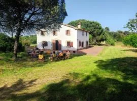 Isard 4 bis Apartamento junto a la playa