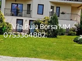 Vila Puiu Borsa MM