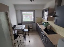 F2 cozy centre ville proche bale et tram