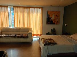 Bonito Departamento Centrico en Puebla Capital, hotelli kohteessa Momoxpan
