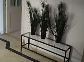 حي النصر شارع الهادي نويرة أريانة