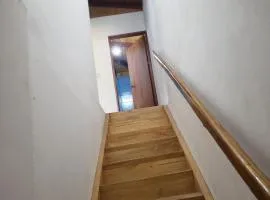 Emerald Forest House