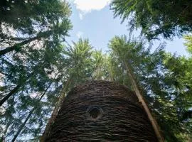 Cabane entre terre et ciel
