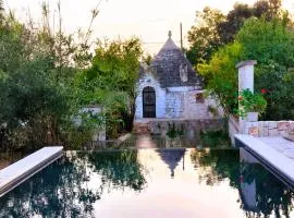 B&b Aurasia