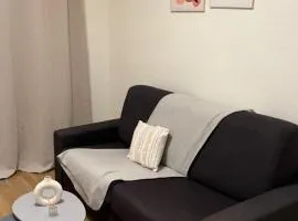 Lumineux et agréable