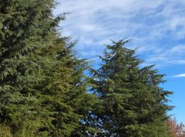 Quinta Rural - Nossa Sra do Carmo. Teixoso, Hotel in Teixoso