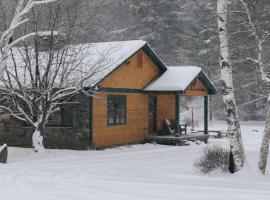 Broad Brook Cabin between Woodstock & Killington, Hotel in Bridgewater