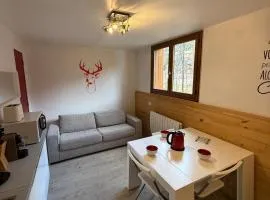 Bright apartment near the slopes