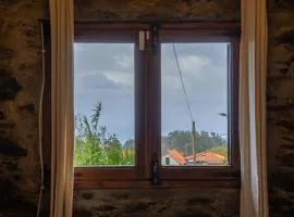 King Shelter by Homie