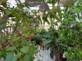 Alleyhomestay- Trần Đại Nghĩa