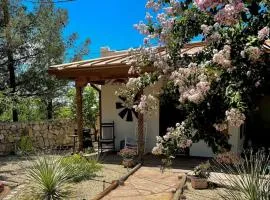 1 bed cute casita near NMSU, pet friendly
