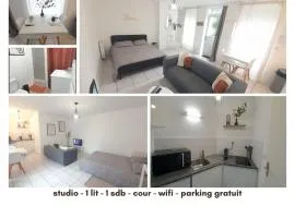 Studio RDC l'Auron- wifi - cour