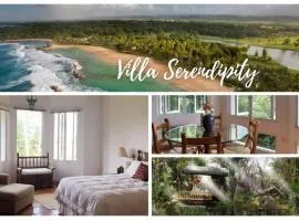 Serendipity Villa Dorado Beach w generator