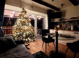 Apartament Graal Roztocza