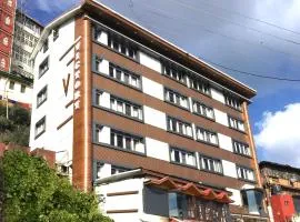 Hotel Super V mountain homestay