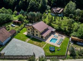 Vila Mișu, hotel i Dobra