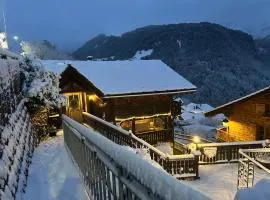 Chalet Rayon de Soleil Gryon Villars