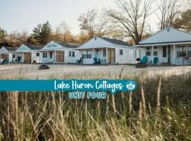 New renovated bathroom & new roof - Lake Huron 4