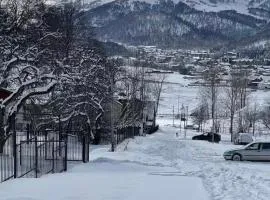 Luxury Villa in the heart of Bakuriani