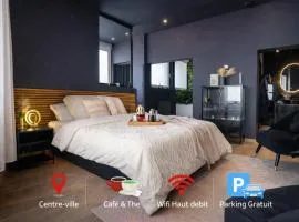 Grand studio centre ville tout équipé jacuzzi parking gratuit