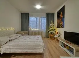 Apartmán Tatranská Lomnica