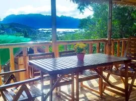 Hilltop seaview chalet, with AC, private bathroom, kitchen & balcony