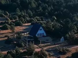 Villa Madalina Blidinje