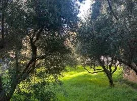 ALIO Seaside Maisonette