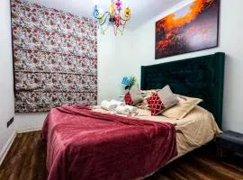 Santiago Centro 2 dormitorios check in tardío