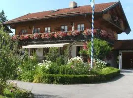 Swallow's nest in the holiday home Alt