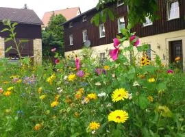 XXL Ferienhaus in Struppen