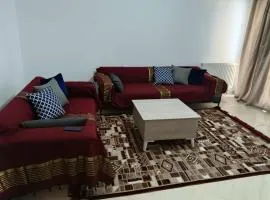 شارع الهادي نويرة حي النصر أريانة