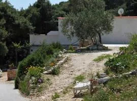 Apartments with parking space Cove Saplunara, Mljet - 4923