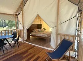 Ventricosa Jervis Bay