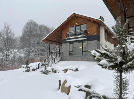 Bakuriani Mountain Villas，位于巴库里阿尼的酒店