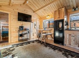 Cozy ski cabin #3, 3 beds, căsuță din Bethel