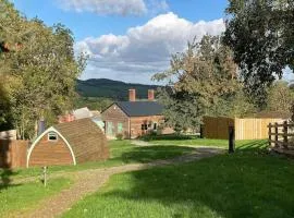 The Orchard - Ukc7804