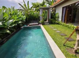 Sari padi villa