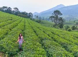 Sylora Meadows Private Pool Villa ,Vagamon