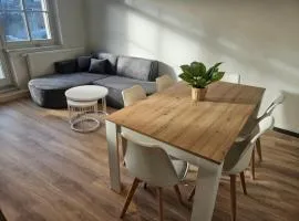 entzückende Ferienwohnung im Zentrum von Plauen