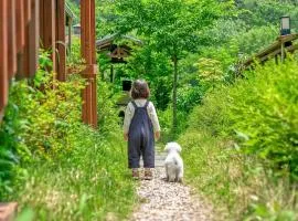 Gapyeong Swimteo Pet Pension