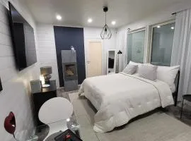 Cozy studio with a wood burning sauna
